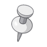 pin